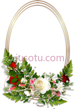 椭圆花形边框,frame PNG