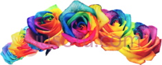 彩虹花flowerPNG