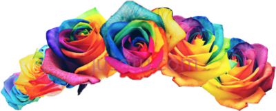 彩虹花,crown pride rainbow PNG