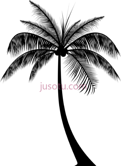 棕榈,palm PNG