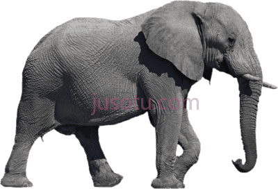 大象,elephant PNG