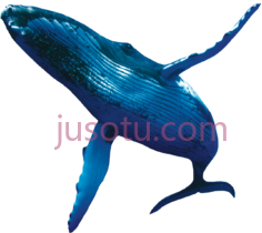 蓝鲸鱼PNG