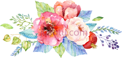 牡丹花,water flower peony painting invitation PNG