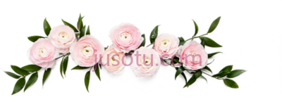 玫瑰叶,rose leafs crown font PNG