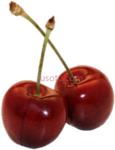 红樱桃,cherrys red PNG