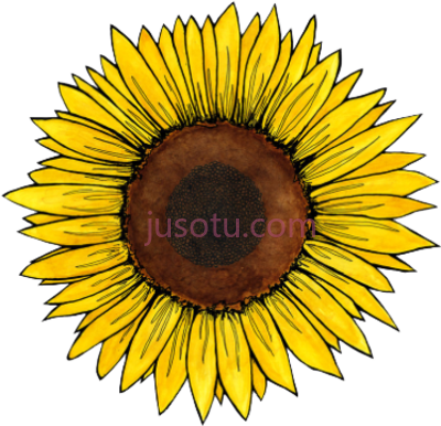 向日葵,travel vol ii sunflower PNG