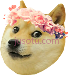 狗模因, PNG