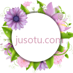 花圆,flower PNG
