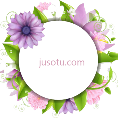 花圆,outline borders PNG