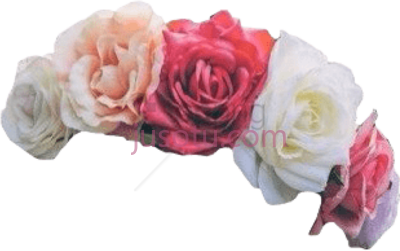 花,crowns PNG