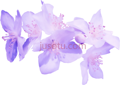 紫色花,flores moradas enflores en PNG