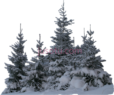 冬雪树木,winter snow terrieasterly on PNG