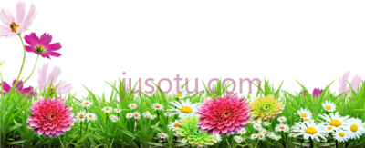 花,grass frames PNG