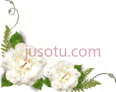 白花角, PNG