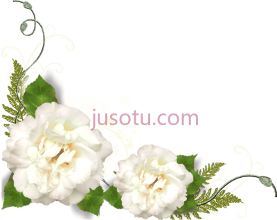 白花角,white flower corner PNG