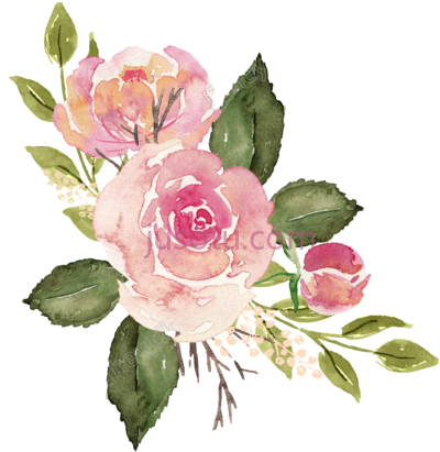 水彩玫瑰,watercolor roses PNG