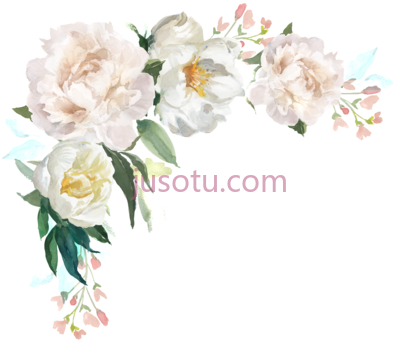 白花,bright floral border PNG