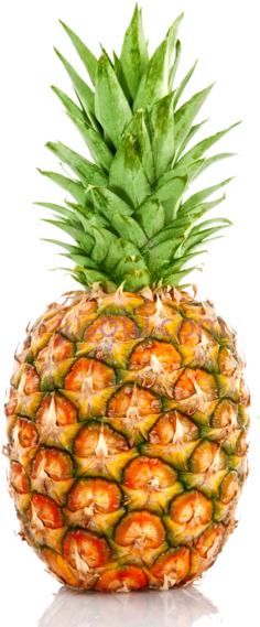 菠萝PNG