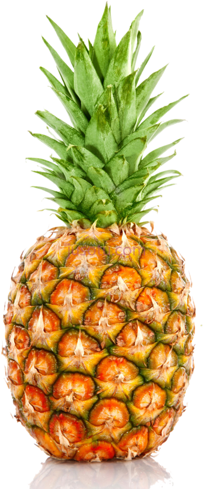 菠萝,pineapple PNG