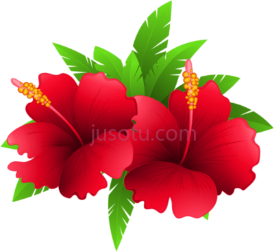 植物红花,exotic and plant PNG