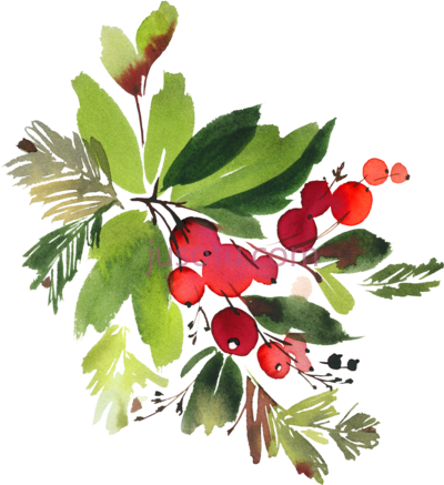 水彩花,snowman watercolor PNG