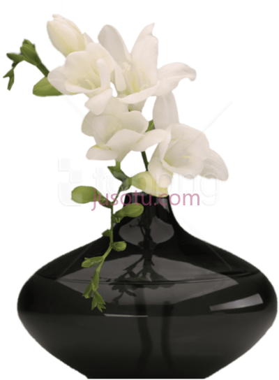 花瓶,vase flowers PNG