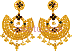 金耳环, PNG