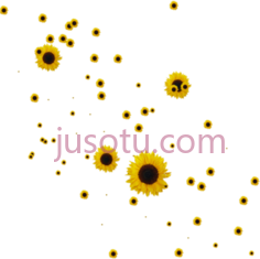 向日葵PNG