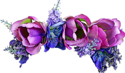 紫冠,purple crown PNG