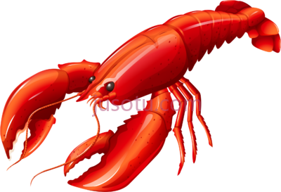 龙虾,louisiana lobster PNG