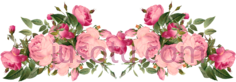 复古花边, PNG