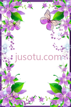 淡紫色边框PNG