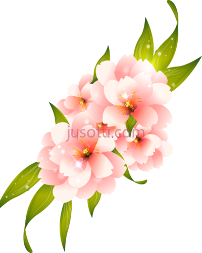 花,fors PNG