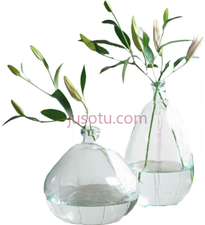 玻璃花瓶,clear recycled glass vases PNG