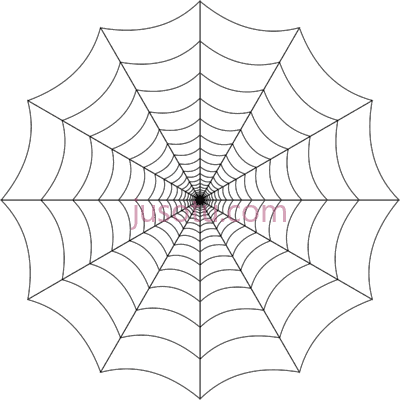 蜘蛛网,spider web PNG