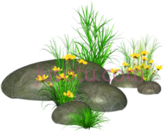 草黄花石, PNG