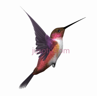 翠鸟,kingfisher flying PNG