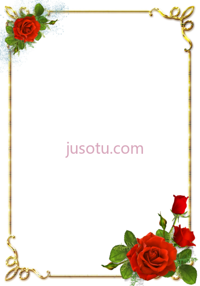 玫瑰花,rose flower PNG