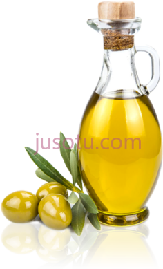 橄榄油PNG