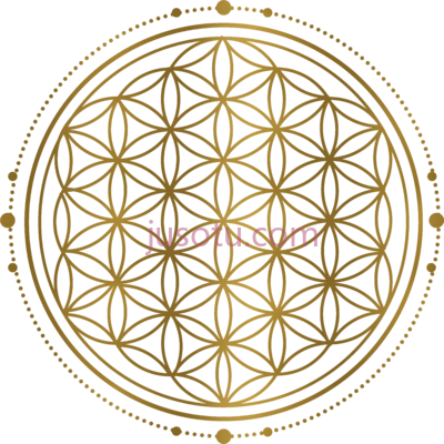 几何生命之花,sacred geometry perfect flower life PNG