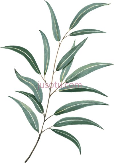 水彩叶,tattoo leaf leaves water painting PNG