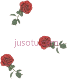 玫瑰,花 PNG