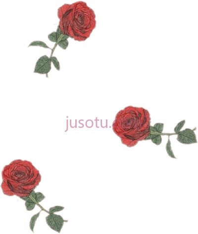 玫瑰,roses rosa flor PNG