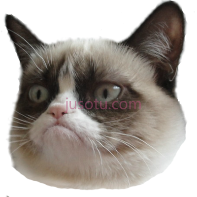 滑稽猫,funny face grumpy PNG