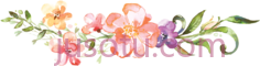 水彩花PNG