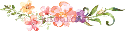 水彩花,divider watercolor PNG
