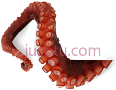章鱼触须,动物 PNG