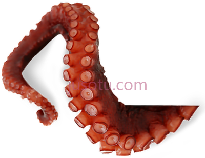 章鱼触须,octopus tentacles PNG
