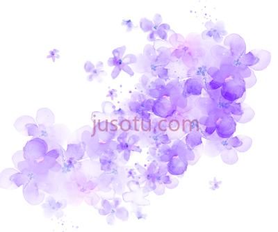 水彩紫樱花,cherry blossom watercolor purple PNG