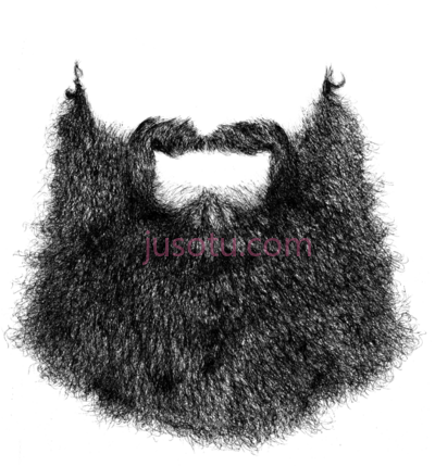 大胡子,new stylish beard big PNG
